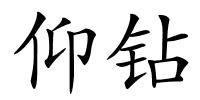 仰钻的解释
