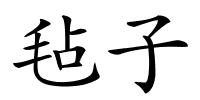 毡子的解释