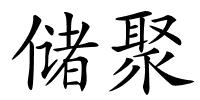储聚的解释