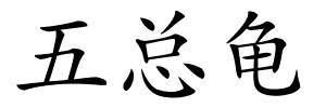 五总龟的解释