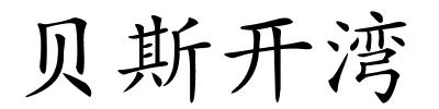 贝斯开湾的解释