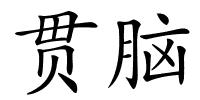 贯脑的解释