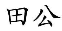 田公的解释