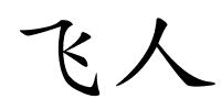 飞人的解释