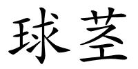 球茎的解释