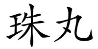 珠丸的解释