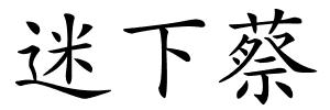迷下蔡的解释