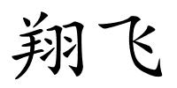 翔飞的解释