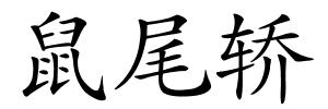 鼠尾轿的解释