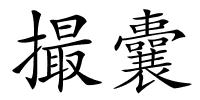 撮囊的解释