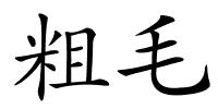粗毛的解释