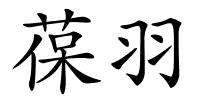 葆羽的解释