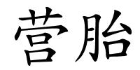 营胎的解释