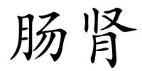肠肾的解释