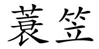 蓑笠的解释