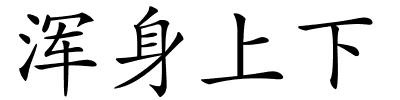 浑身上下的解释