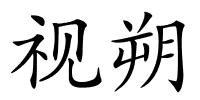 视朔的解释
