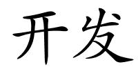 开发的解释