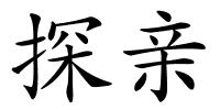 探亲的解释