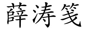 薛涛笺的解释