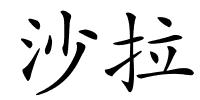沙拉的解释