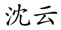 沈云的解释