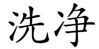 洗净的解释