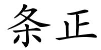 条正的解释