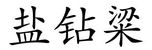 盐钻粱的解释