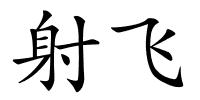 射飞的解释