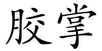 胶掌的解释