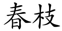 春枝的解释