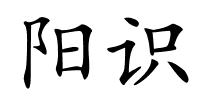 阳识的解释