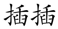 插插的解释