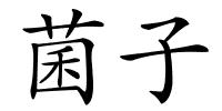 菌子的解释