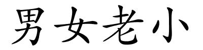 男女老小的解释