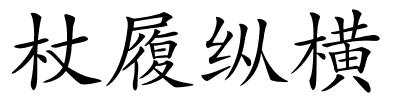 杖履纵横的解释