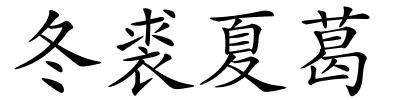 冬裘夏葛的解释