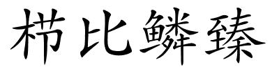 栉比鳞臻的解释