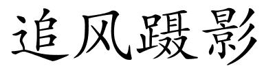 追风蹑影的解释