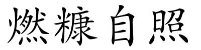 燃糠自照的解释