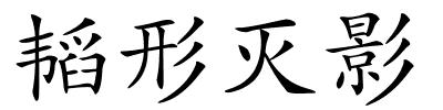韬形灭影的解释