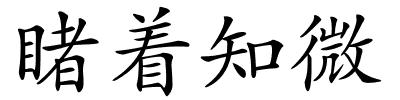 睹着知微的解释