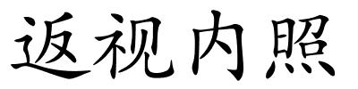 返视内照的解释
