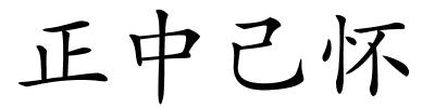 正中己怀的解释