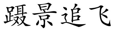 蹑景追飞的解释