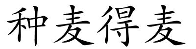 种麦得麦的解释