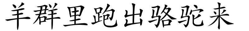 羊群里跑出骆驼来的解释