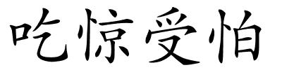 吃惊受怕的解释