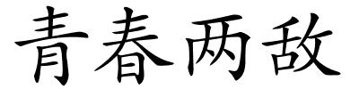 青春两敌的解释